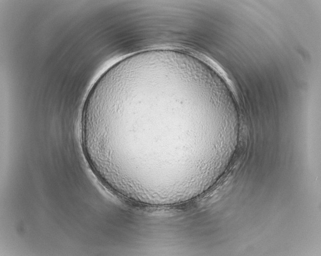 X0000115360811200912011112