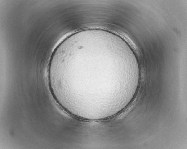 X0000115360814200912011112