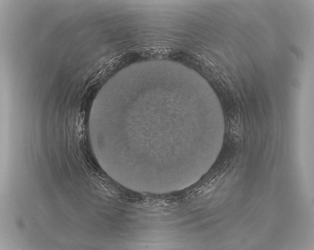 X0000115360818200912011111