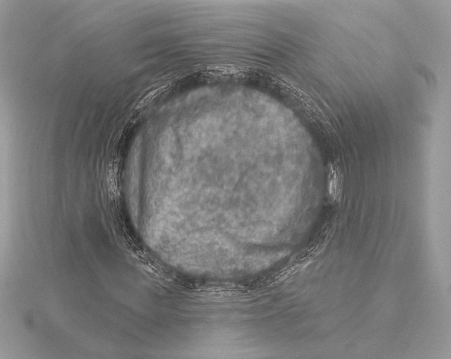 X0000115360819200912011111