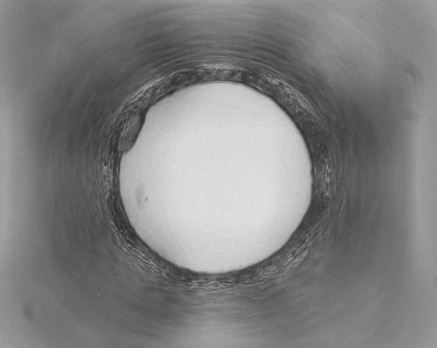 X0000115360821200912011111