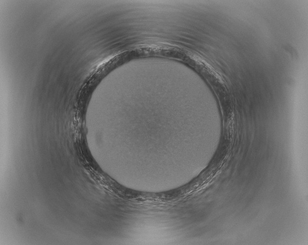 X0000115360822200912011111
