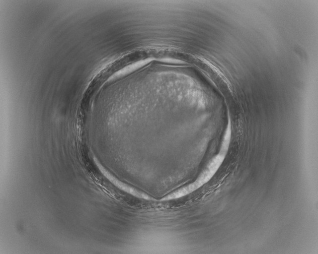 X0000115360823200912011111