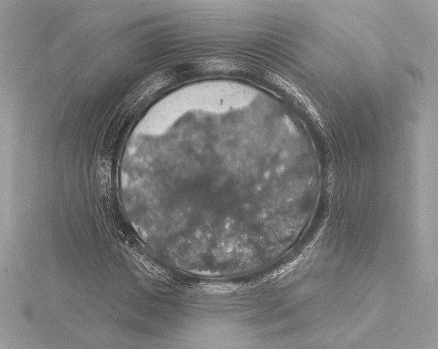 X0000115360825200912011111