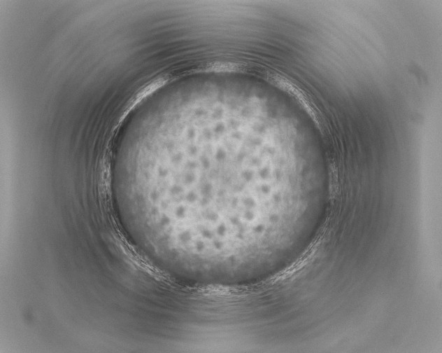 X0000115360827200912011111