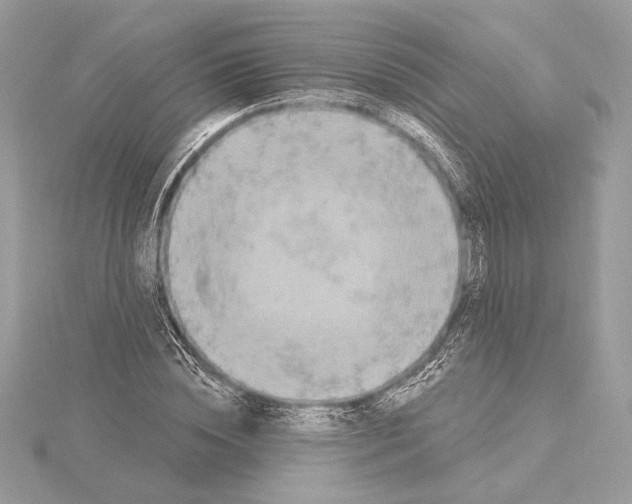 X0000115360828200912011111