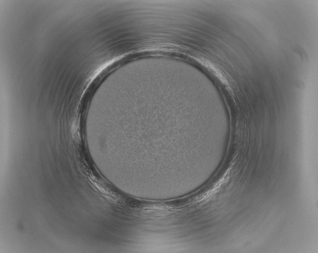 X0000115360830200912011111