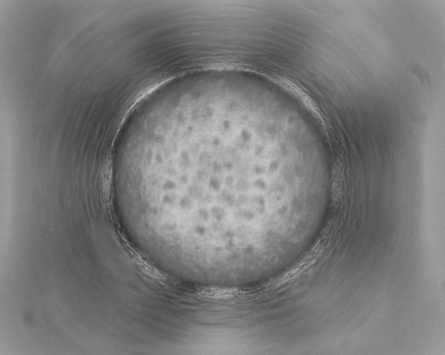 X0000115360831200912011111