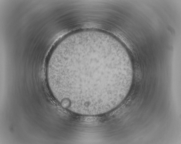 X0000115360832200912011111