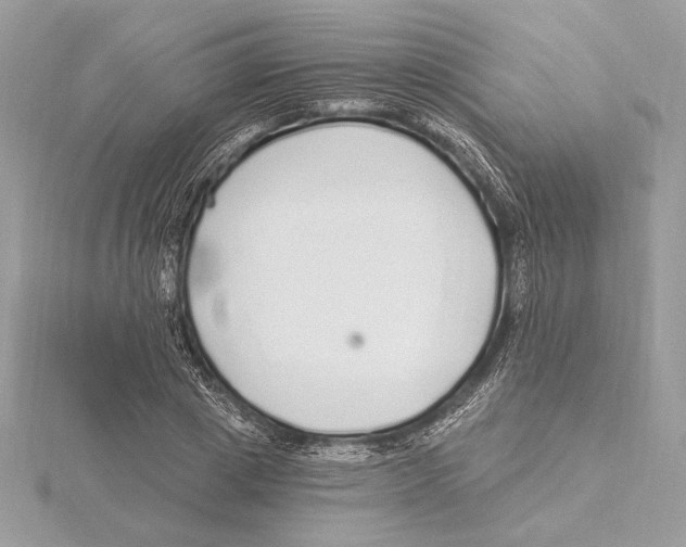 X0000115360833200912011111