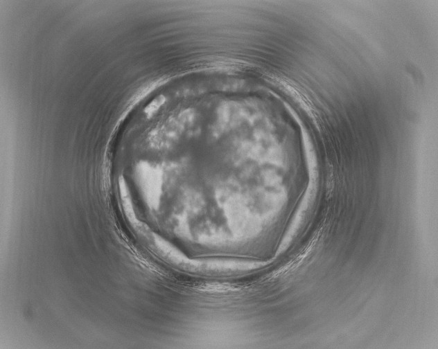 X0000115360835200912011111