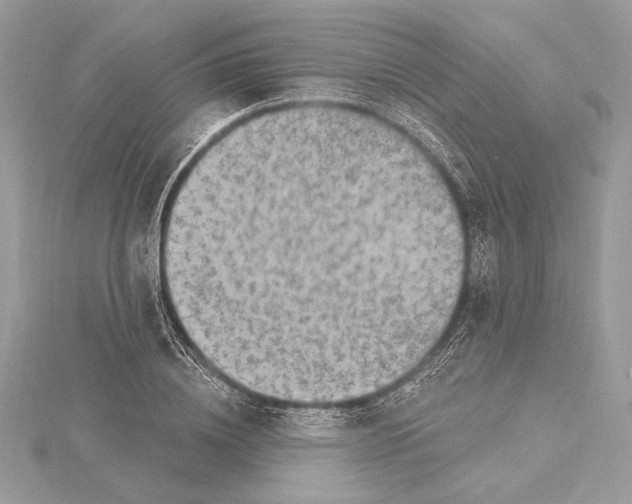 X0000115360836200912011111