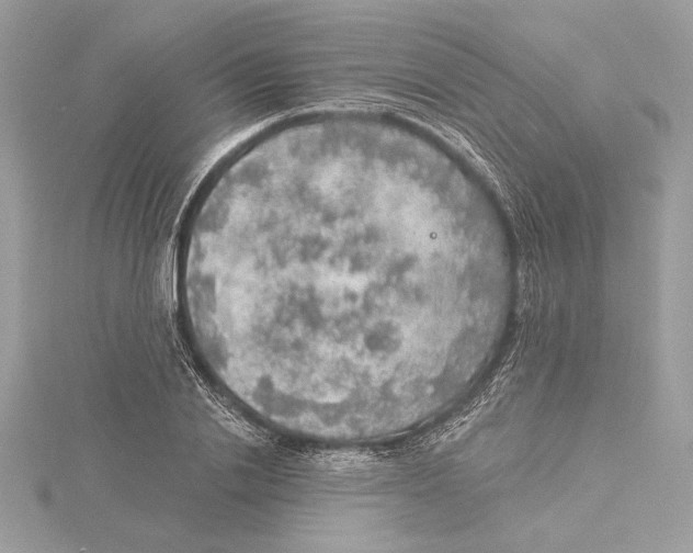 X0000115360838200912011111