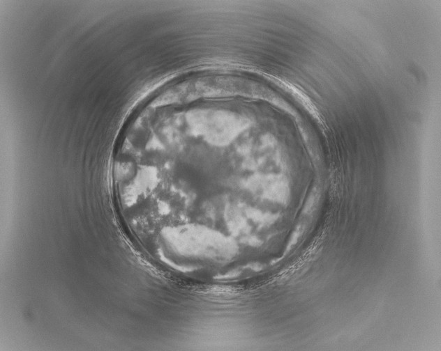 X0000115360839200912011111