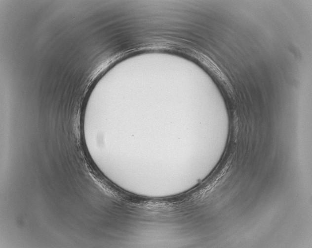 X0000115360842200912011111