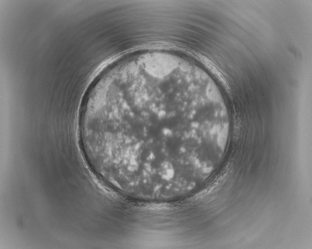 X0000115360845200912011111