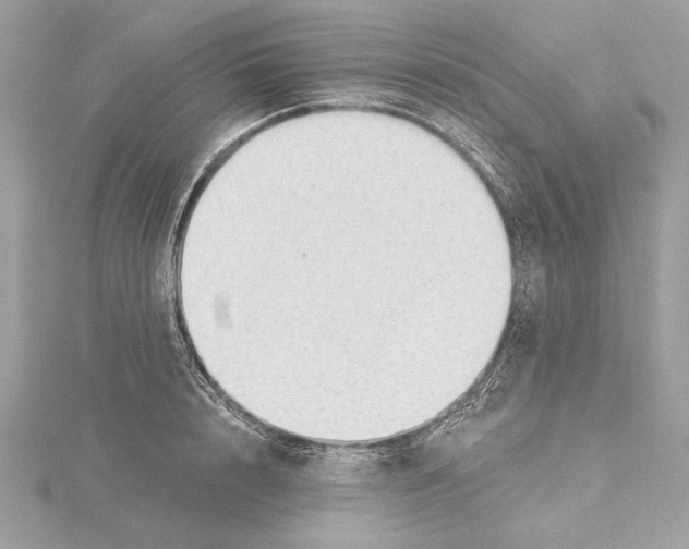 X0000115360848200912011111