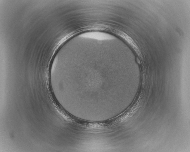 X0000115360850200912011111