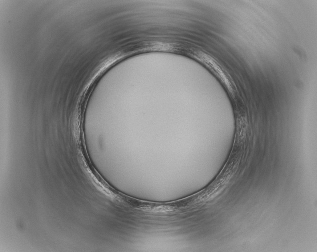 X0000115360851200912011111