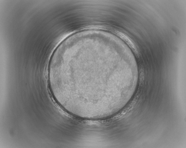 X0000115360852200912011111