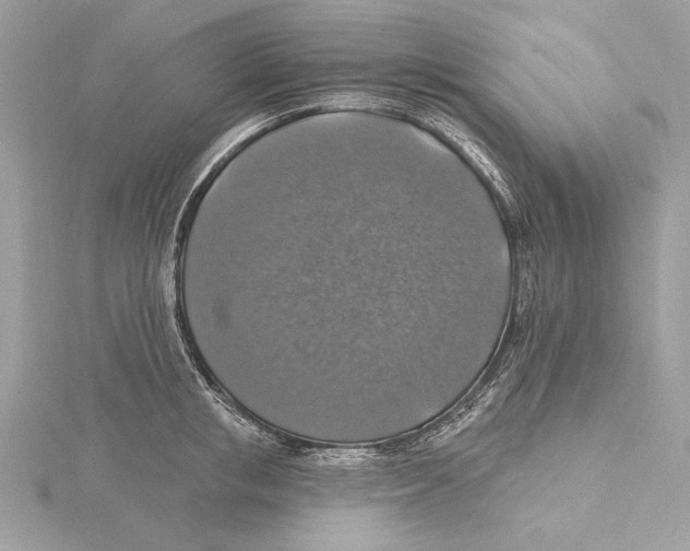 X0000115360853200912011111