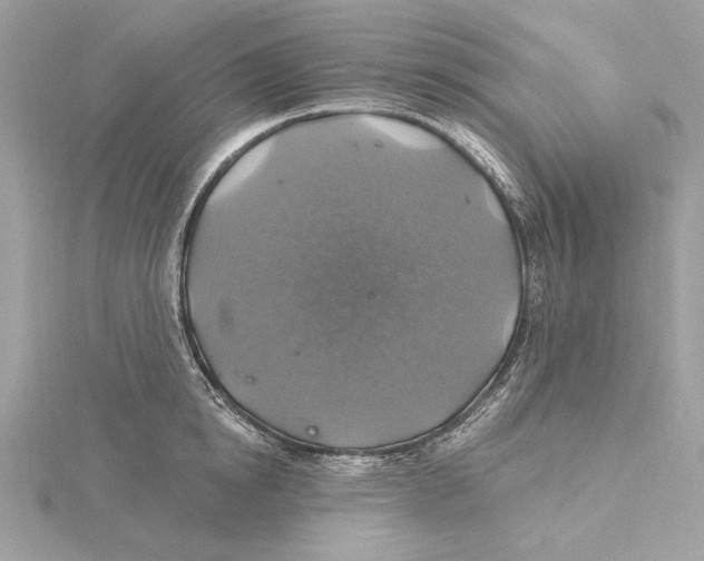 X0000115360854200912011111