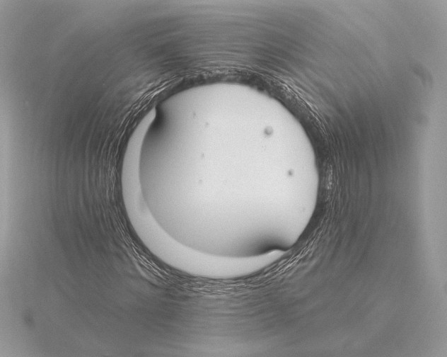 X0000115360868200912011111