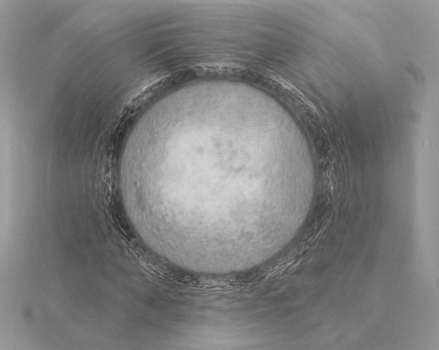 X0000115360870200912011111