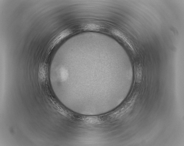 X0000115360874200912011111