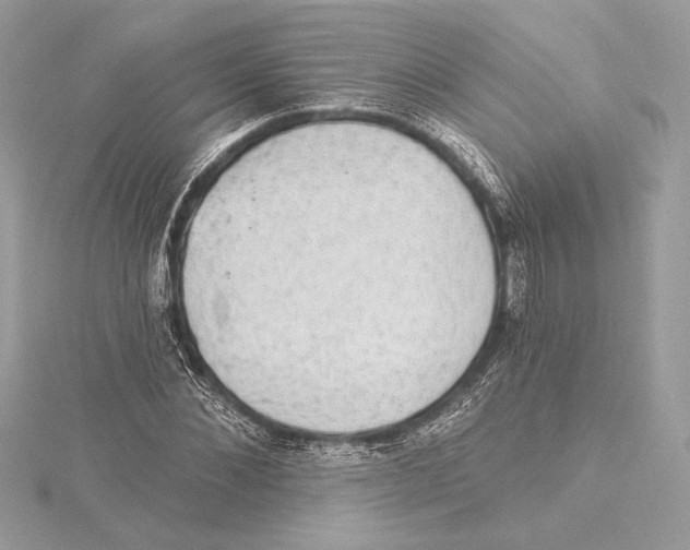 X0000115360876200912011111