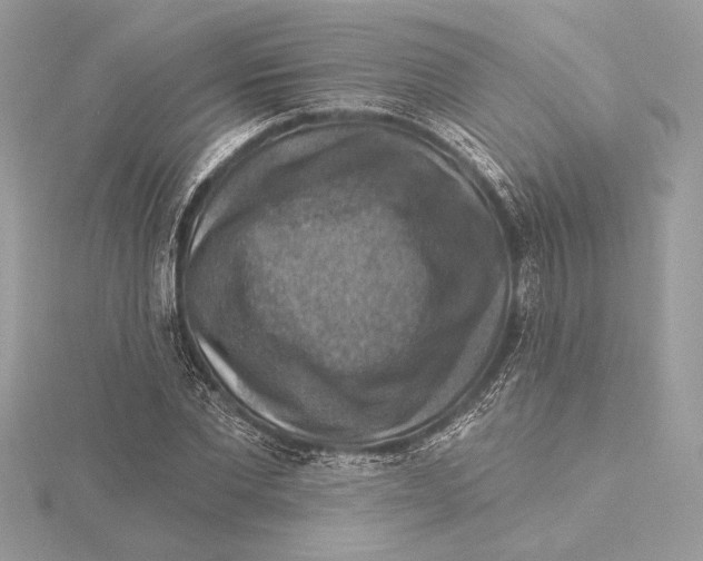 X0000115360877200912011111