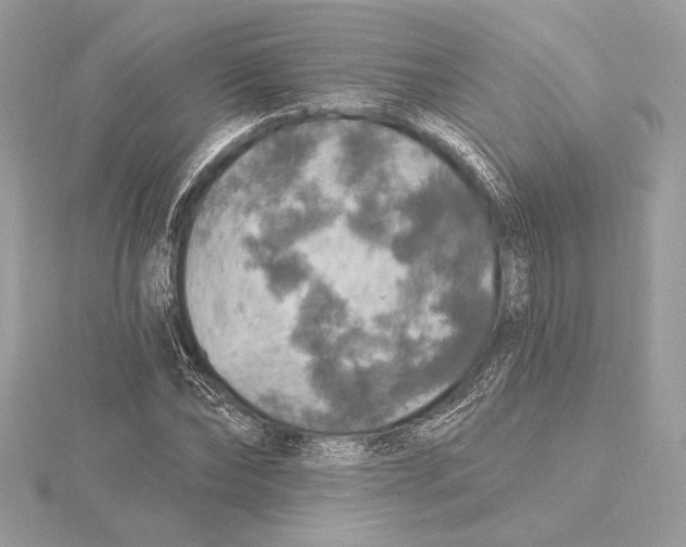 X0000115360878200912011111