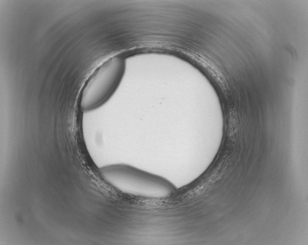 X0000115360880200912011111