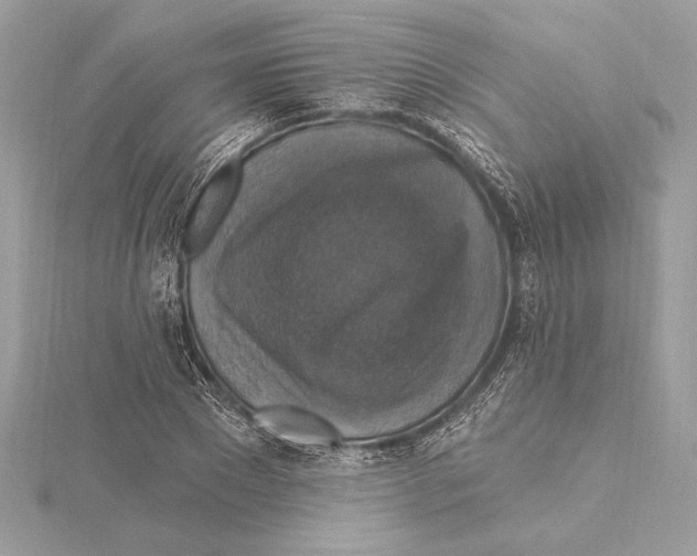 X0000115360881200912011111