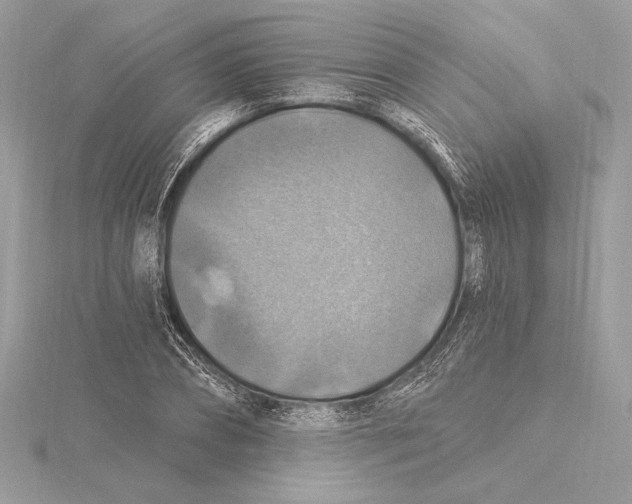 X0000115360882200912011111