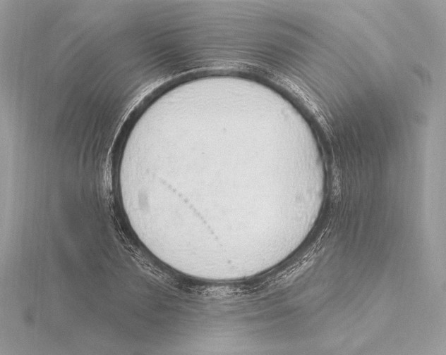 X0000115360883200912011111
