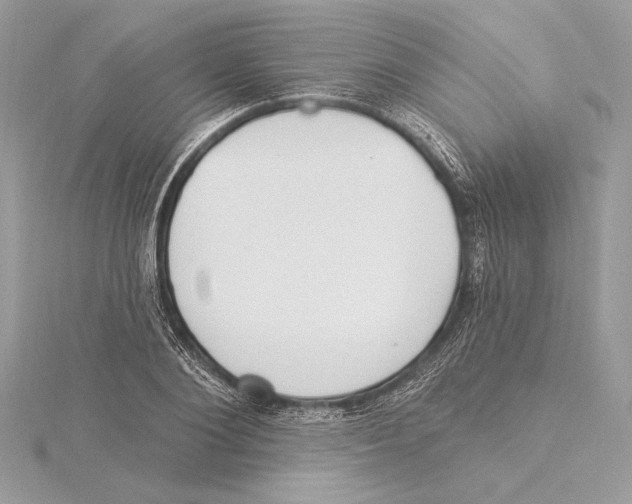 X0000115360884200912011111