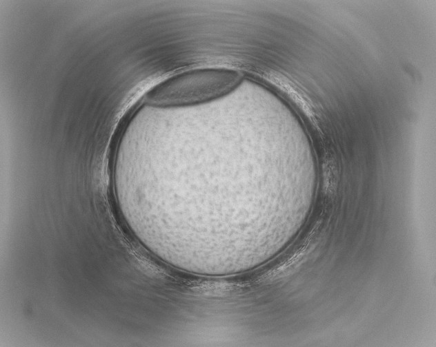 X0000115360885200912011111
