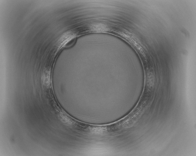 X0000115360889200912011111