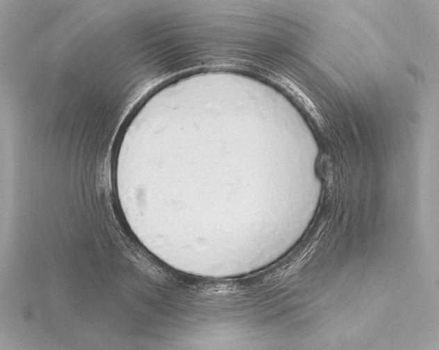 X0000115360891200912011111