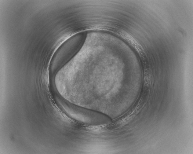 X0000115360892200912011111