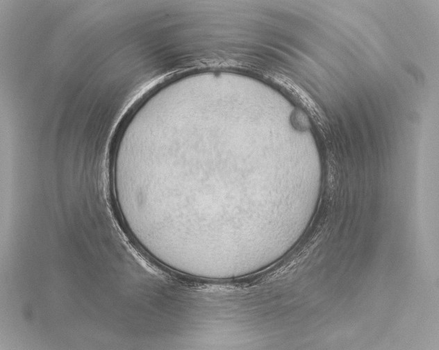 X0000115360894200912011110