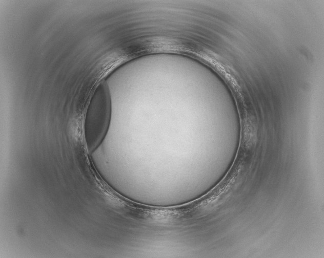 X0000115360897200912011110