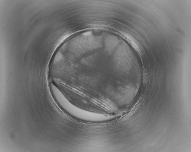 X0000115360899200912011110