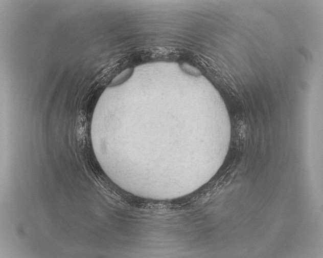 X0000115360914200912011110