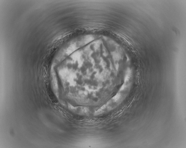 X0000115360917200912011110