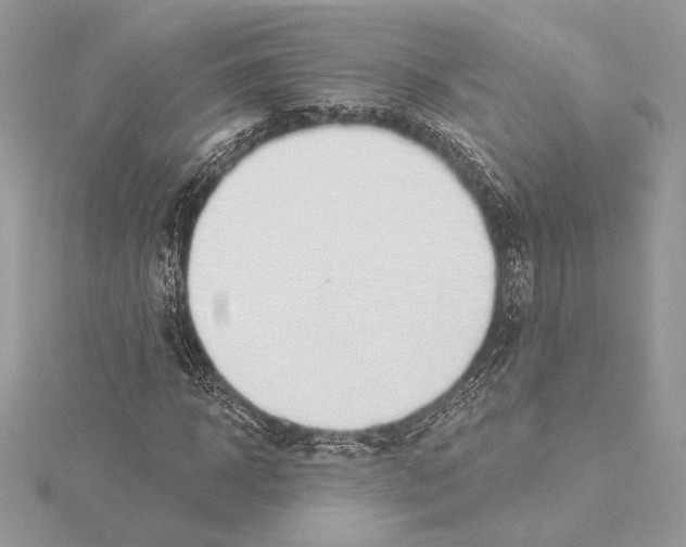 X0000115360918200912011110