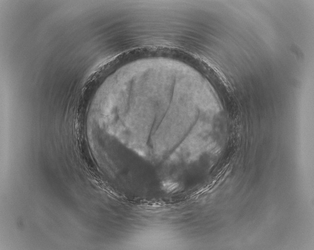 X0000115360919200912011110