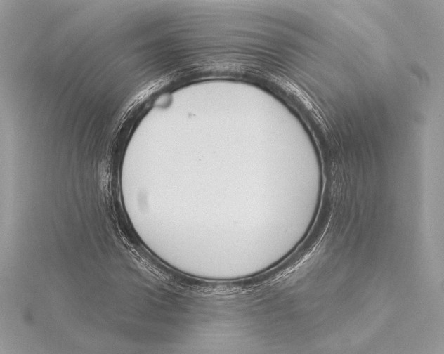 X0000115360922200912011110