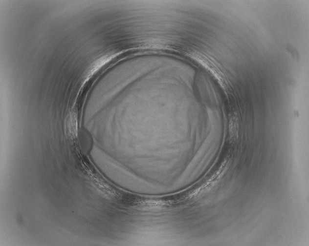 X0000115360925200912011110